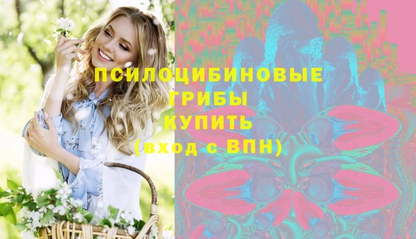 jwh Богородицк