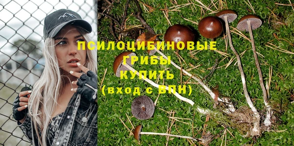 прущая мука Беломорск