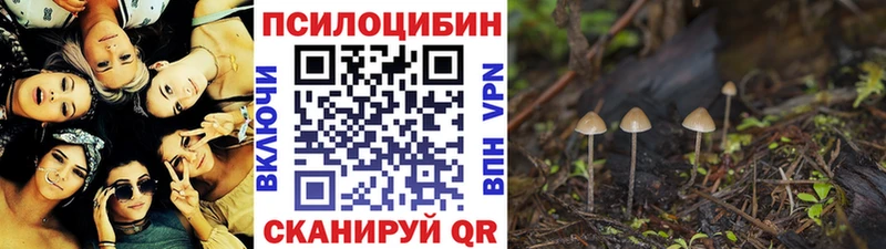 Псилоцибиновые грибы Magic Shrooms  Бугульма 